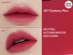 ETUDE HOUSE Fixing Tint (11 Colours) 4g 07 Cranberry Plum