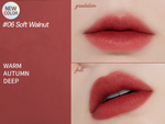 ETUDE HOUSE Fixing Tint (11 Colours) 4g 06 Soft Walnut